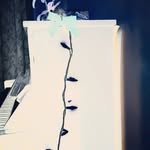 Esteramusic_soundsofhope - @estergreen95 - Instagram
