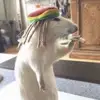 Griffin Lester - @griffin.lester - TikTok