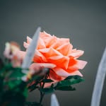 Ester Gutiérrez - @keepingloveinaphoto - Instagram