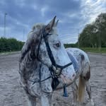 Ester Klara Rørby Hansen - @ester.klara.roerby - Instagram