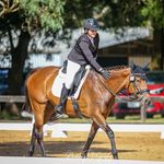 Ester Harrington - @ester.jade.eventing - Instagram