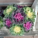 Ester - @esterhart - Instagram