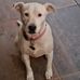 Ester Hill - Facebook