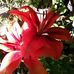 Ester Kuhn - Facebook