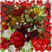 Ester Kuhn - Facebook