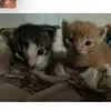Ester Medina - @ester.medina47 - TikTok