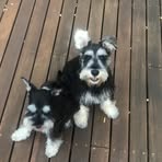 Ester Park - Facebook