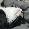 Ester Reyes - @ester.reyes - TikTok