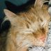 Ester Wolff - Facebook