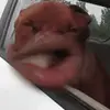 estevanandrademaciel0 - @estevanandrademaciel0 - TikTok