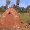 estevanmaciel291 - @estevanmaciel291 - TikTok