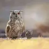 Esther Alba - @esther.alba - TikTok