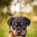 Esther Ang Online 1 - Facebook