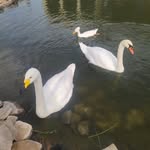 എസ്തർ - @esther_angel555 - Instagram