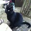 estheratkinson545 - @estheratkinson545 - TikTok