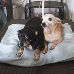 Esther Bacallao - @esther.bacallao.9 - Instagram