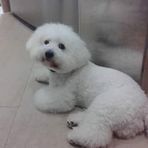 Esther Belen - Facebook