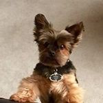 Esther Berman - @bermanesther - Instagram