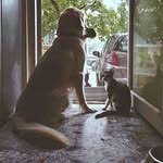 Esther & Bobo - @estherandbobo - Instagram
