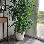 Esther Boboly - @estherboboly - Instagram