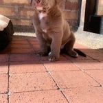 Esther Bray - @esther.bray.359 - Instagram