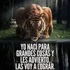 Esther Briones381@ - @estherbriones381 - TikTok