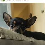 Esther Buchanan - @meanthing - Instagram