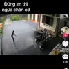esterbuckner4 - @esterbuckner4 - TikTok