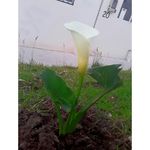 Esther Cadena - @esthercita_2023 - Instagram