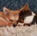 Esther van de Camp - Facebook