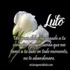 Esther Cisneros - @esthercisneros55 - TikTok