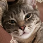 Esther Crow - @evilkitty7900 - Instagram