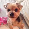 Esther Crawley - @esther.crawley - TikTok