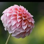 Esther Cuba - Facebook