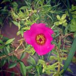 vbj - @estheremerson17 - Instagram
