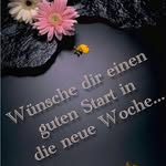 Forster Esther - @forsteresther1974 - Instagram