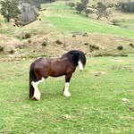 Esther Franks - @estherf04 - Instagram