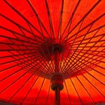 Esther Fraser Communications - @estherfrasercomms - Instagram