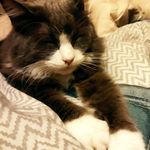 Esther Frederick - @esther.frederick.71 - Instagram