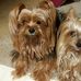 Esther Fuller - Facebook