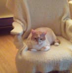 Esther Germain - Facebook