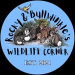 Esther Gilbert - @rockybullwinklewildlifecorner - Instagram