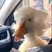 Esther Glick - Facebook