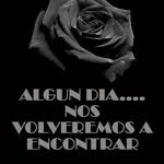 Esther Gonsalez - @esthergonsalez42 - Instagram