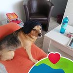 Esther Gross - @gross6487 - Instagram