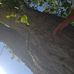 Esther Gross - Facebook