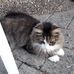 Esther Gross - Facebook