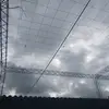 Esther Shaney🦦🦦 - @esther.shaney - TikTok