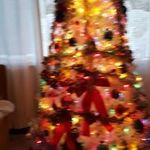 estherhaney699gmail.com - @estherhaney699 - Instagram
