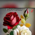 Esther Alicia Vasquez Leyca - Facebook